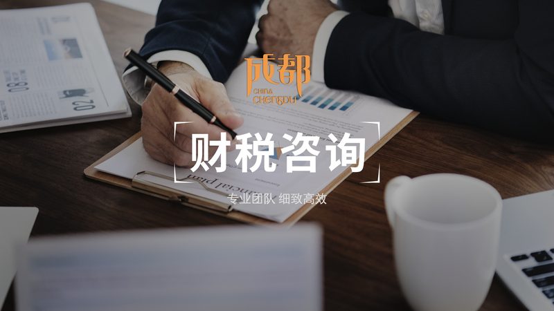 代理记账与个人做账：差异分析及选择指南
